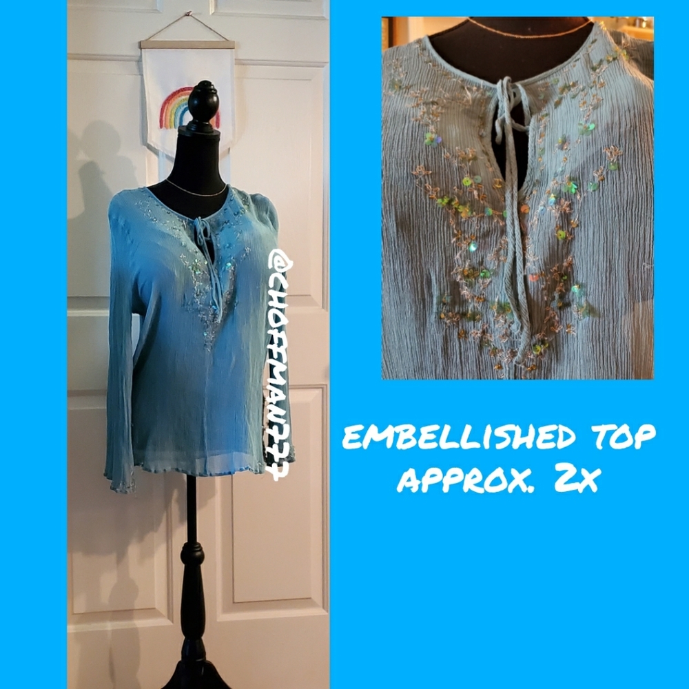 Sequined sheer blue top 2x